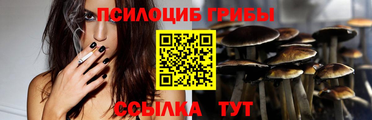 Галлюциногенные грибы MAGIC MUSHROOMS Холмск